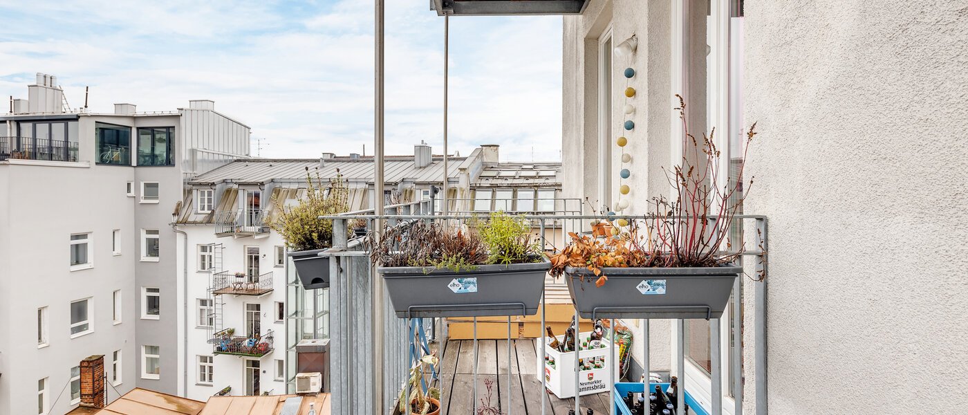 квартира München Maxvorstadt - Westen 03 вид из окна 12753