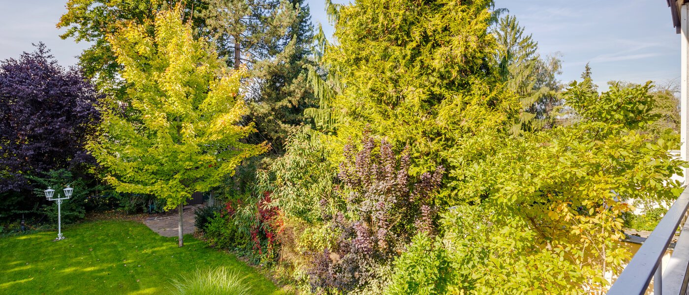 дом München Lerchenau 04 вид из окна 12756