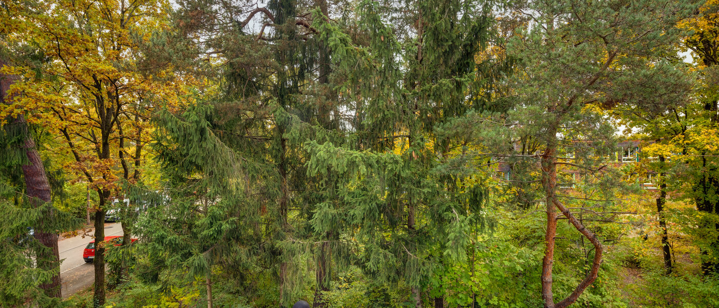 квартира Ottobrunn 03 вид из окна 12770