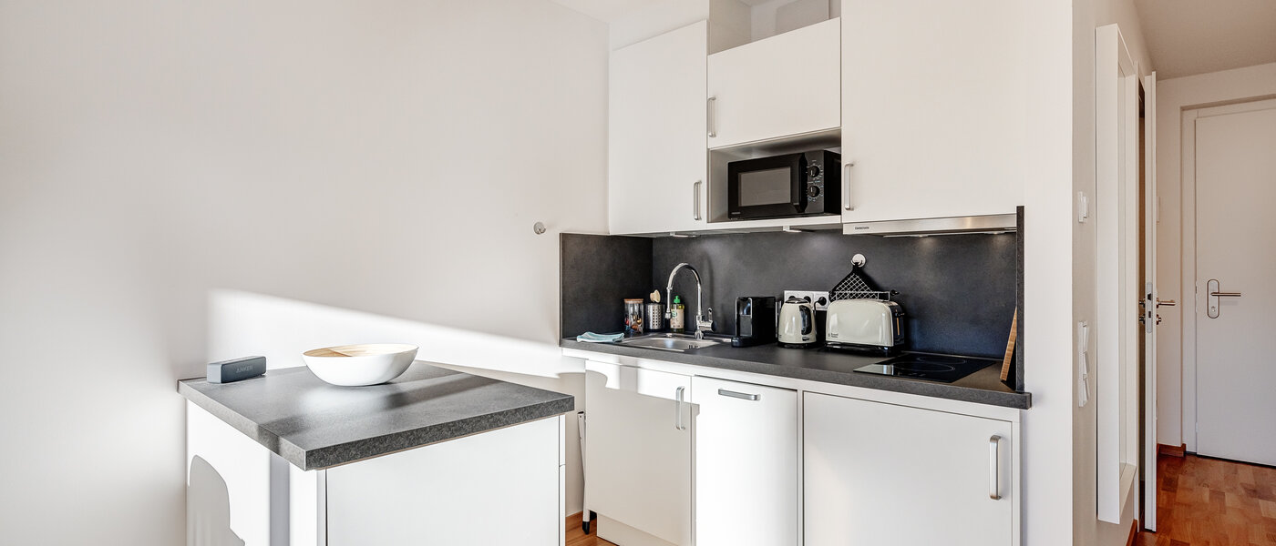 квартира Traunstein 01 кухня 12841