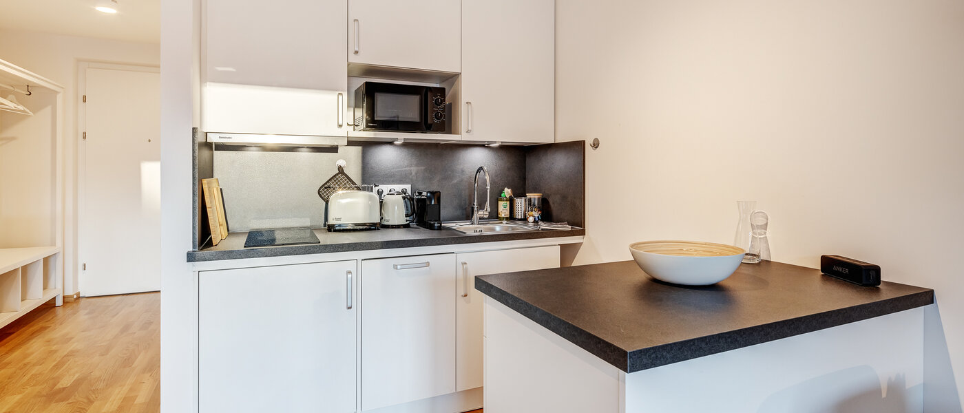 квартира Traunstein 01 кухня 12847