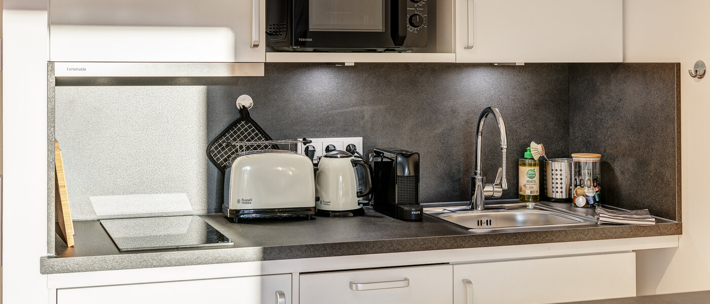 квартира Traunstein 02 кухня 12847