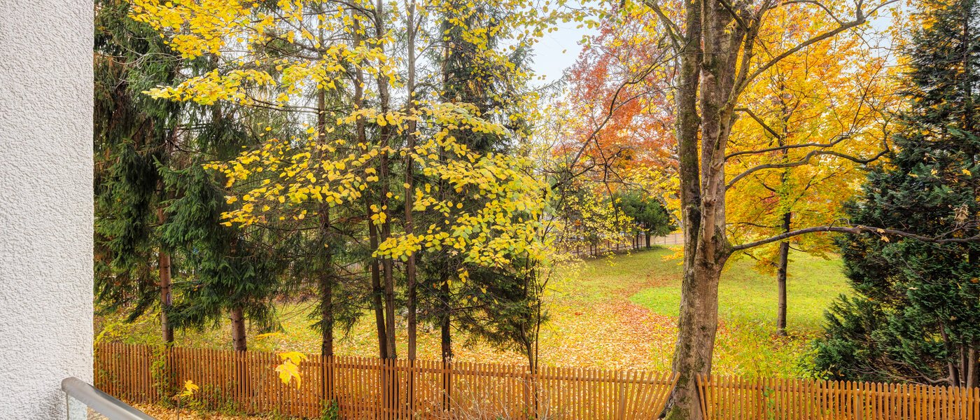 квартира München Cosimapark 01 вид из окна 12861