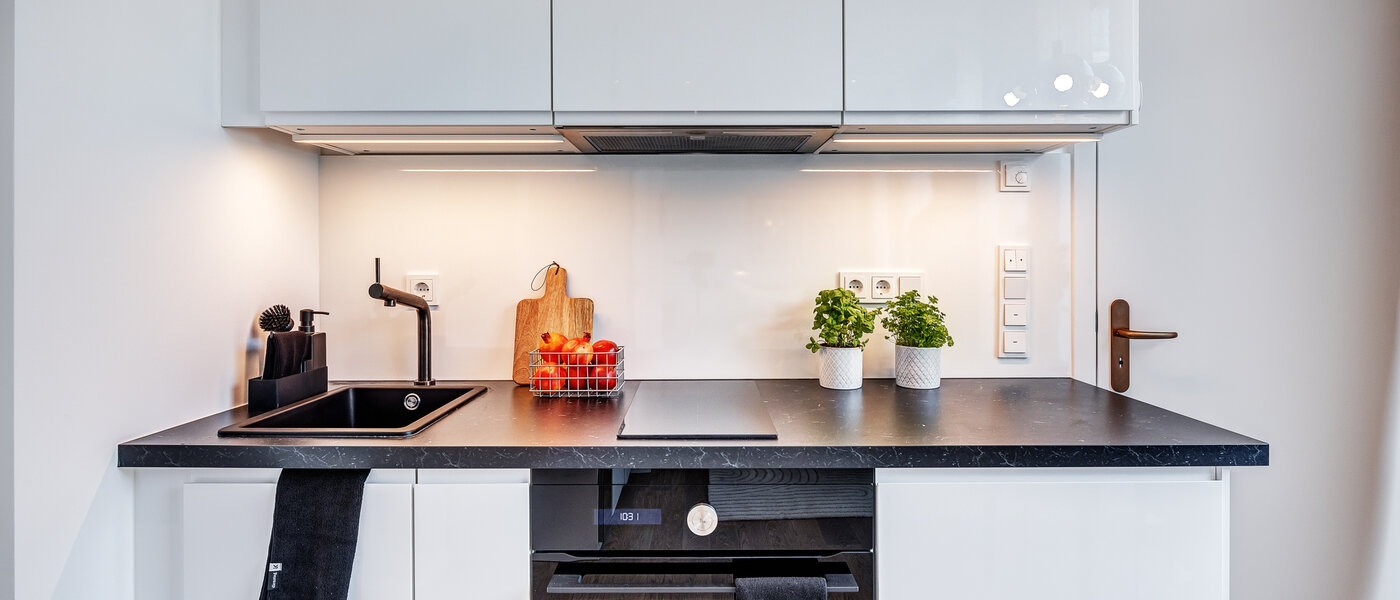 квартира München Au 01 кухня 12874