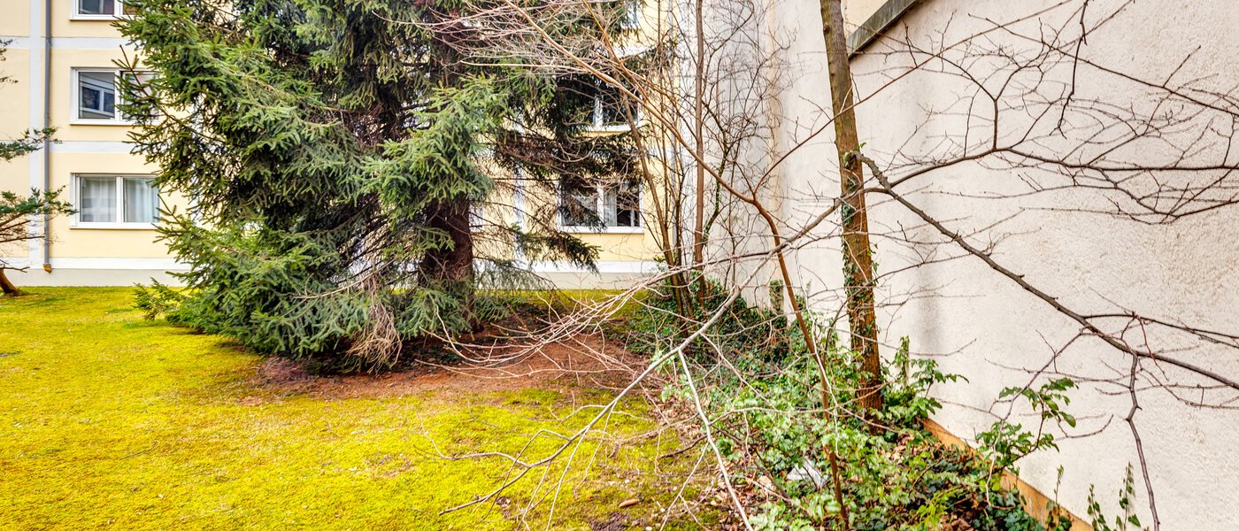 квартира München Maxvorstadt - Universitätsviertel 02 вид из окна 12898