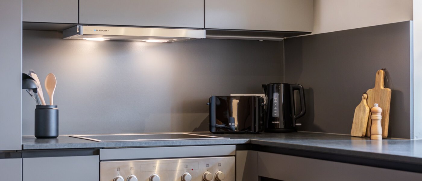 квартира-галерея Gmund am Tegernsee 03 кухня 12967