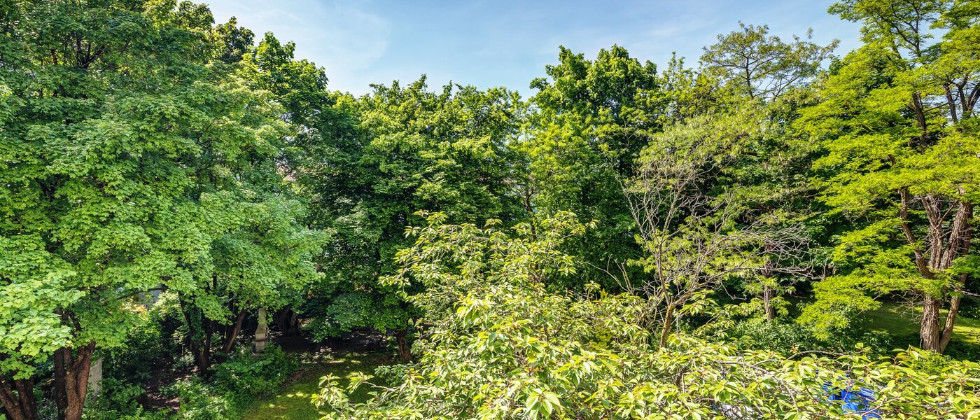 квартира München Parkstadt Schwabing 02 вид из окна 13011