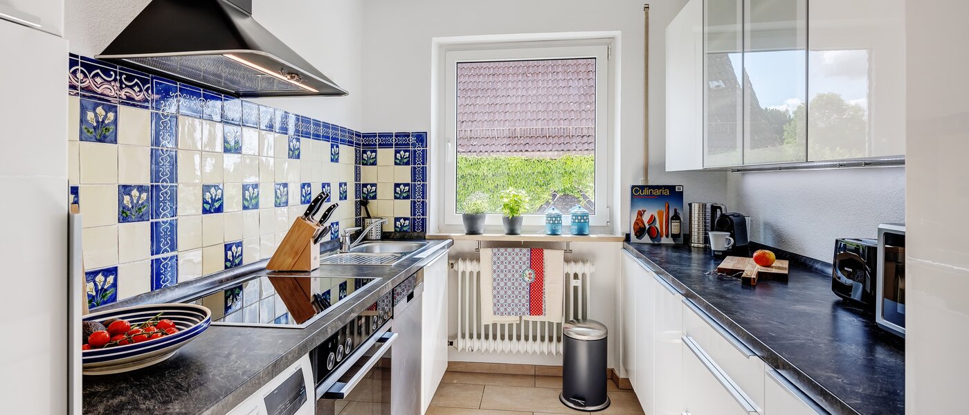 квартира München Berg am Laim 01 кухня 13039