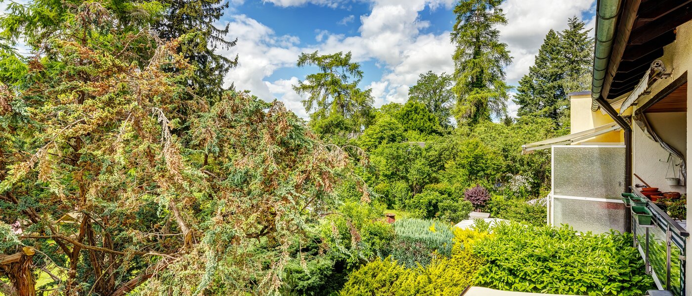 квартира München Berg am Laim 03 вид из окна 13039