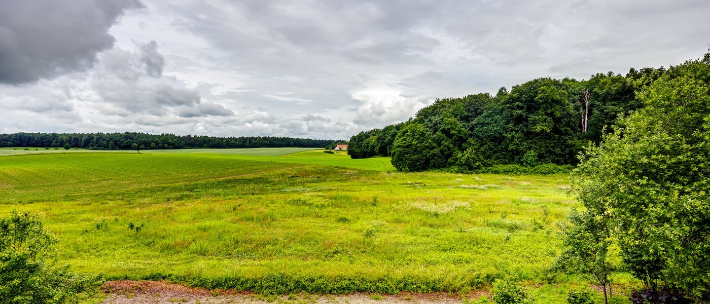квартира Kottgeisering 01 вид из окна 13040