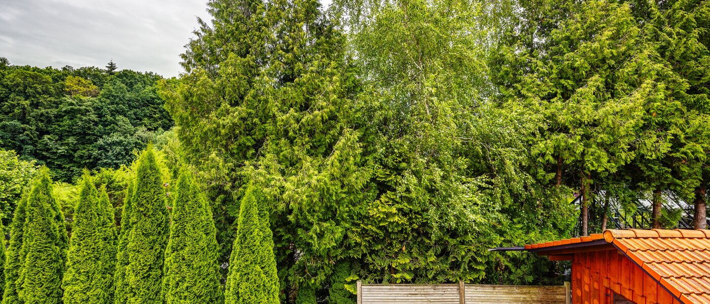 квартира Kottgeisering 04 вид из окна 13040