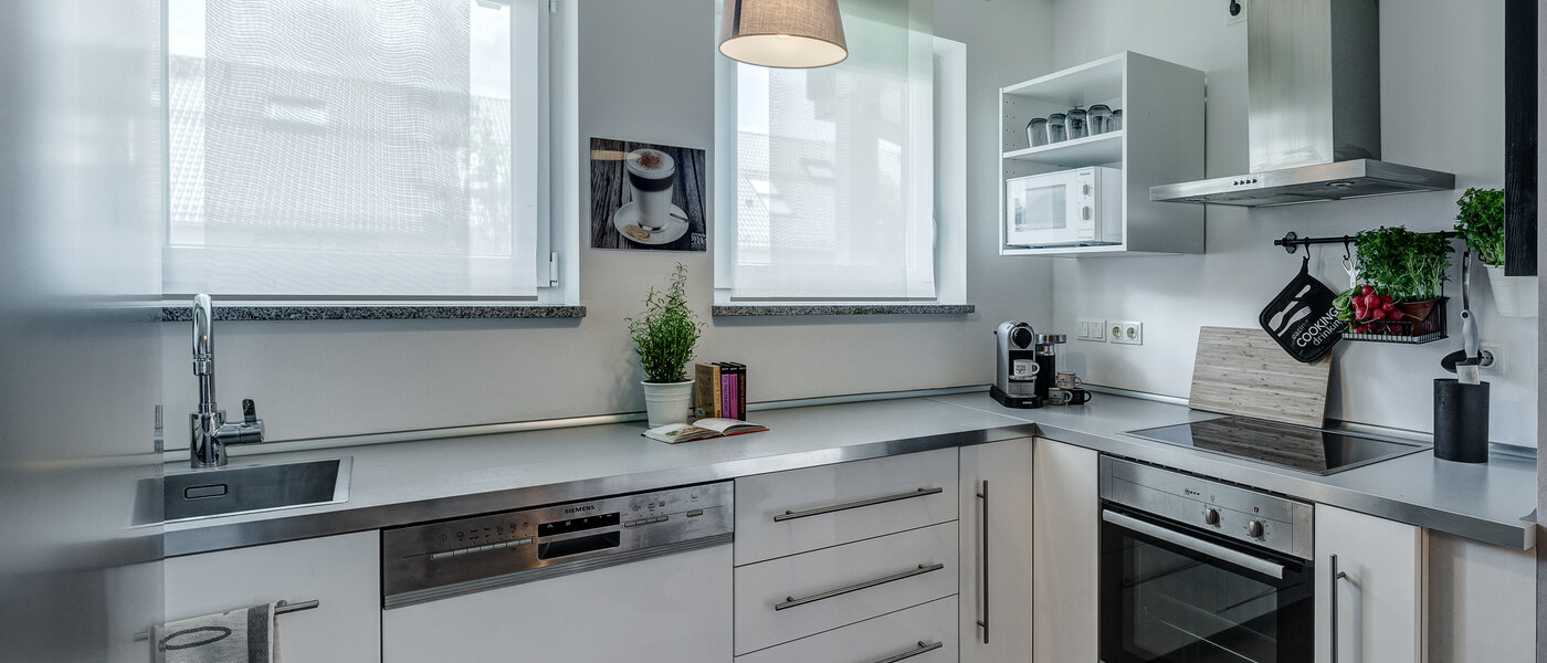 квартира Haar 02 кухня 13044