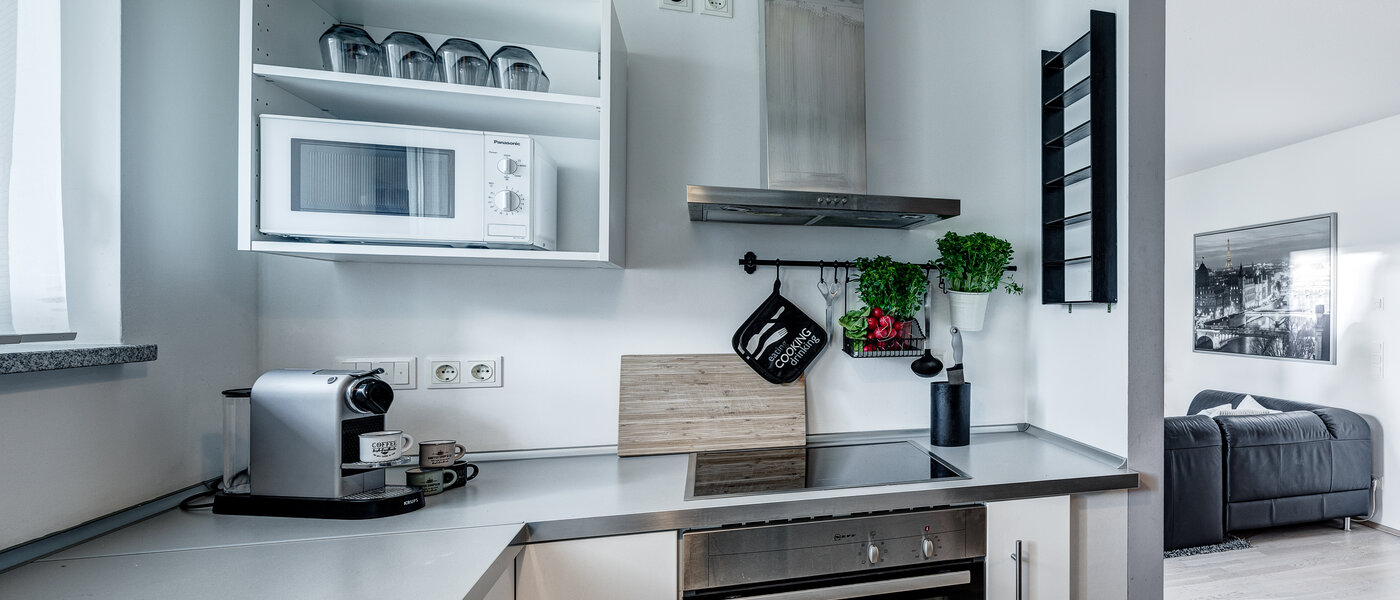 квартира Haar 03 кухня 13044