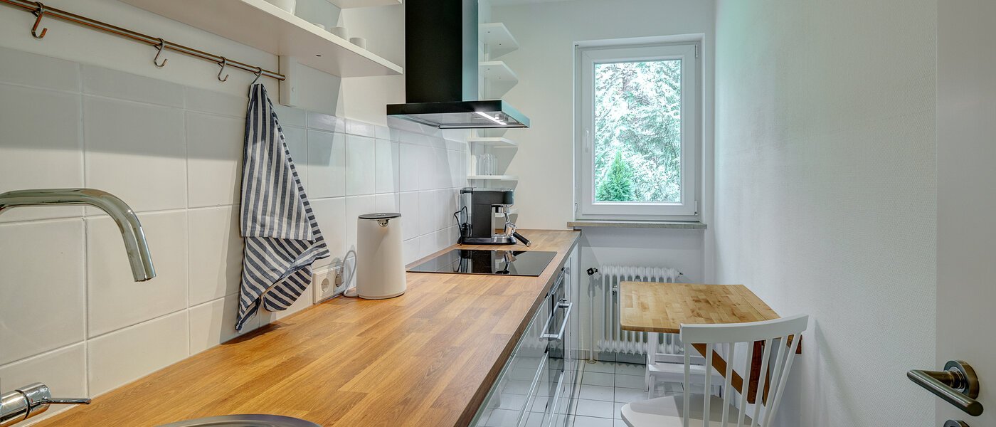 двухэтажная квартира München Pasing 02 кухня 13062