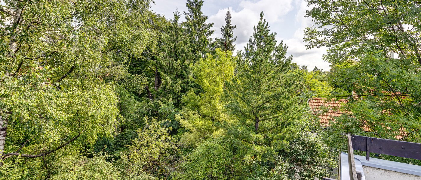 двухэтажная квартира München Pasing 04 вид из окна 13062