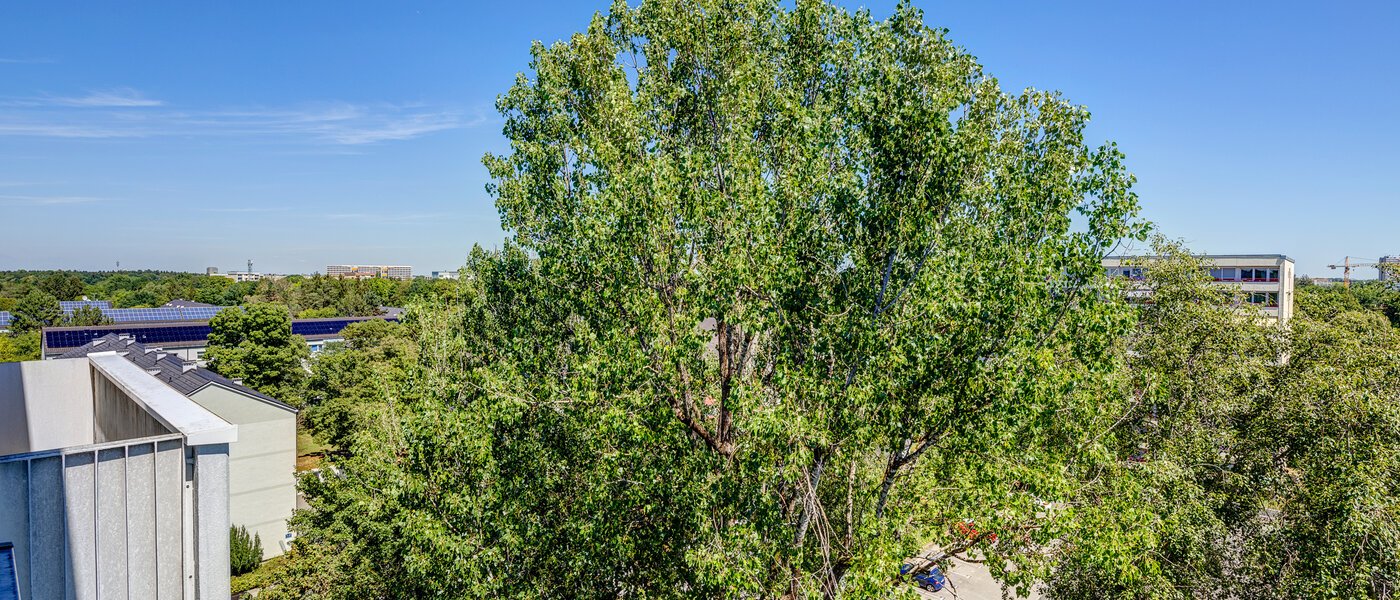 квартира München Fürstenried 02 вид из окна 13096