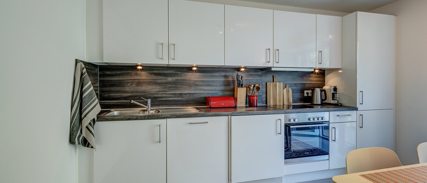 квартира München Laim 02 кухня 13103