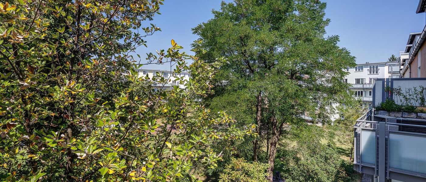 квартира München Laim 02 вид из окна 13103