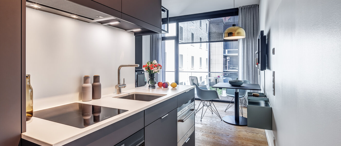 квартира München Au 03 кухня 13114