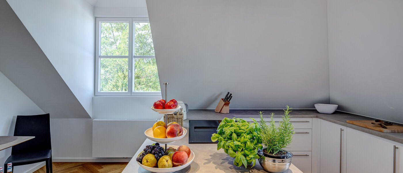 двухэтажная квартира München Neuhausen 03 кухня 13127