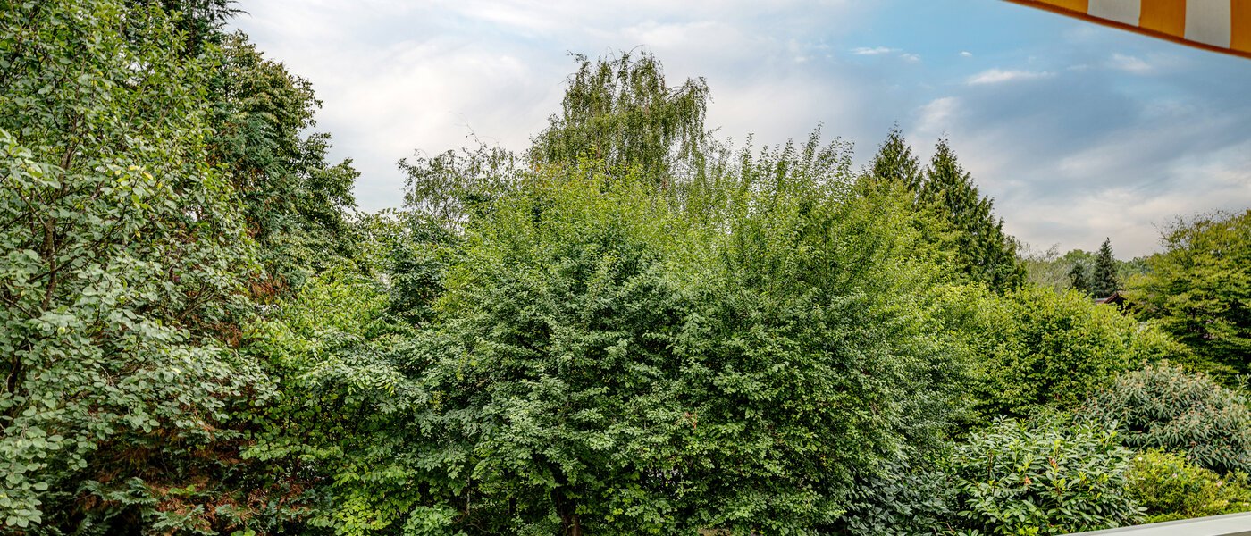 квартира München Schwabing 01 вид из окна 13128