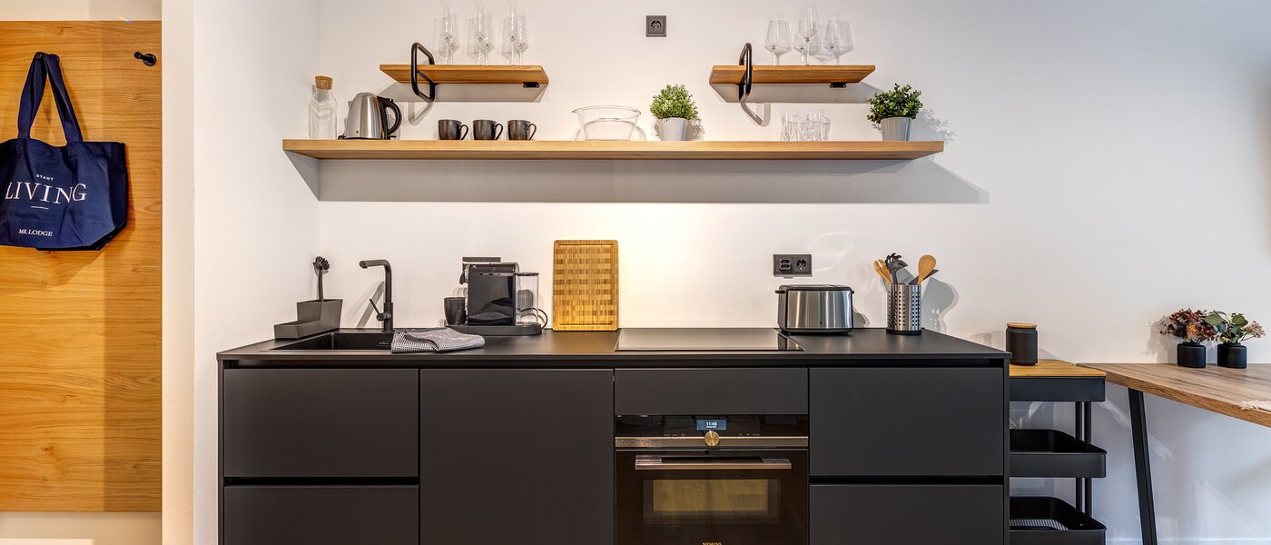 квартира München Schwanthalerhöhe 01 кухня 13142