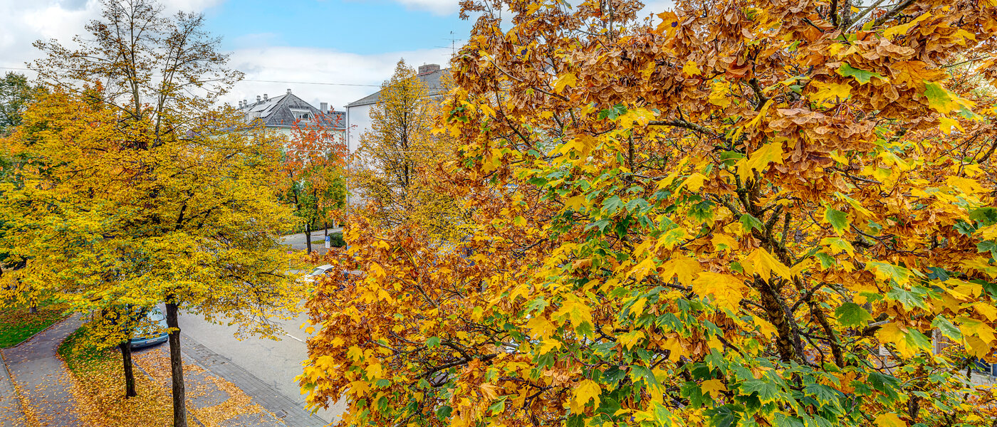 квартира München Thalkirchen 01 вид из окна 13192