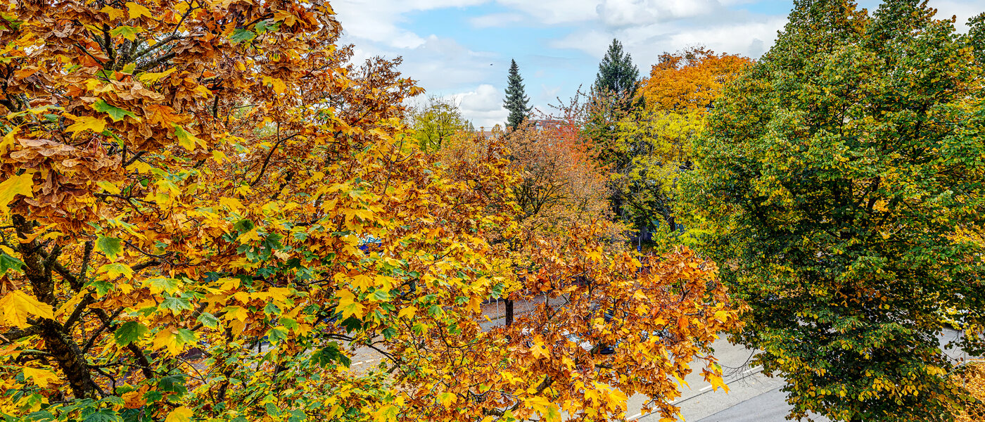 квартира München Thalkirchen 04 вид из окна 13192