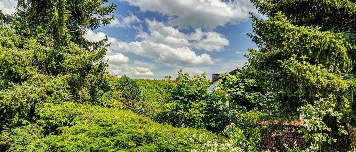 мансардная квартира Inning am Ammersee 03 вид из окна 13224