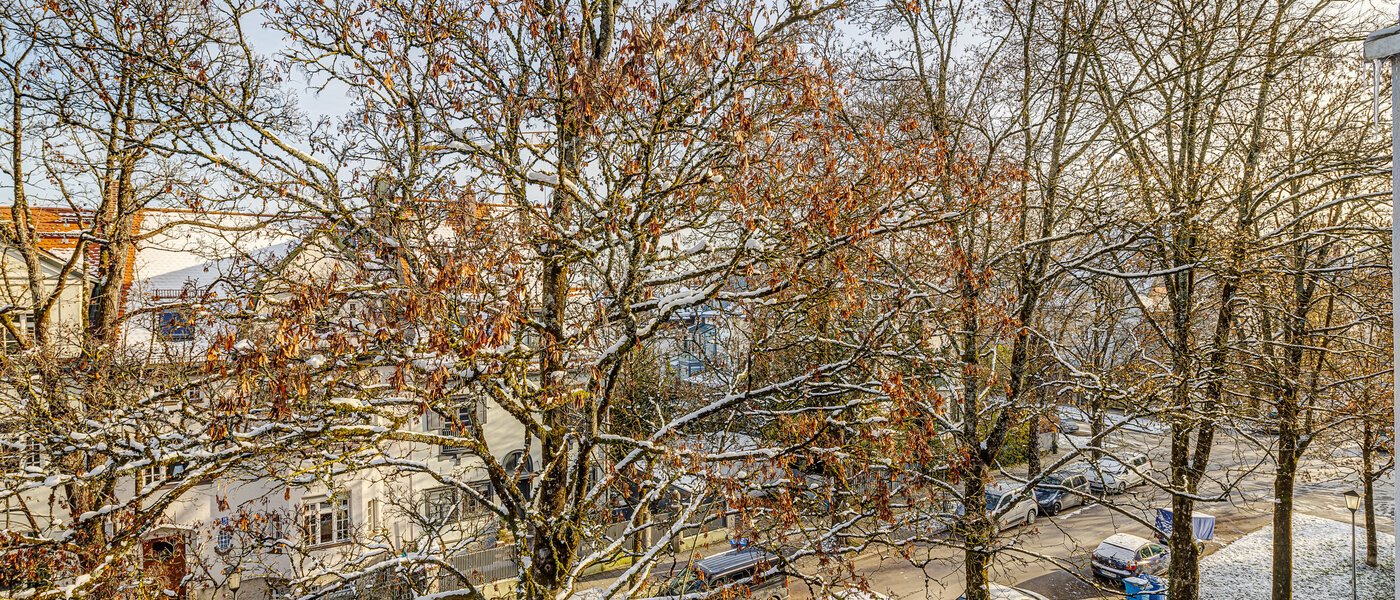 квартира München Nymphenburg 02 вид из окна 13273