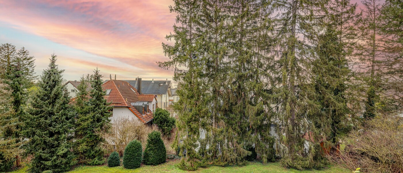 мансардная квартира München Moosach 01 вид из окна 13292