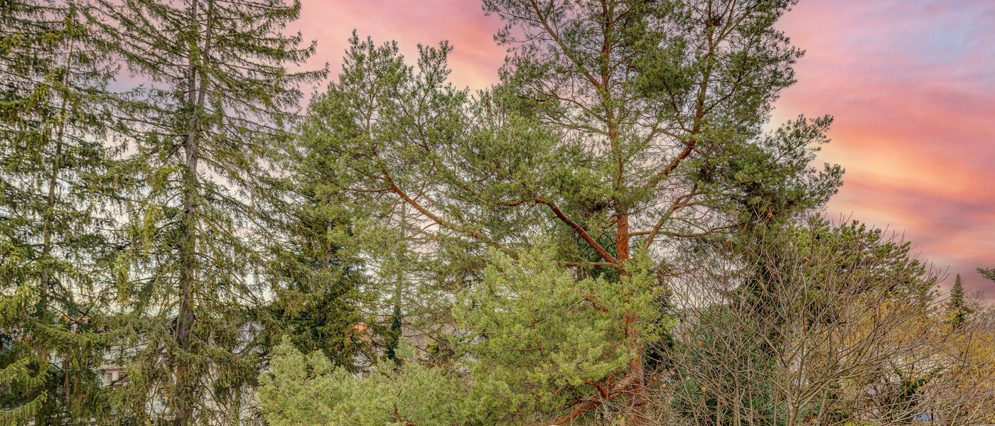 мансардная квартира München Moosach 03 вид из окна 13292