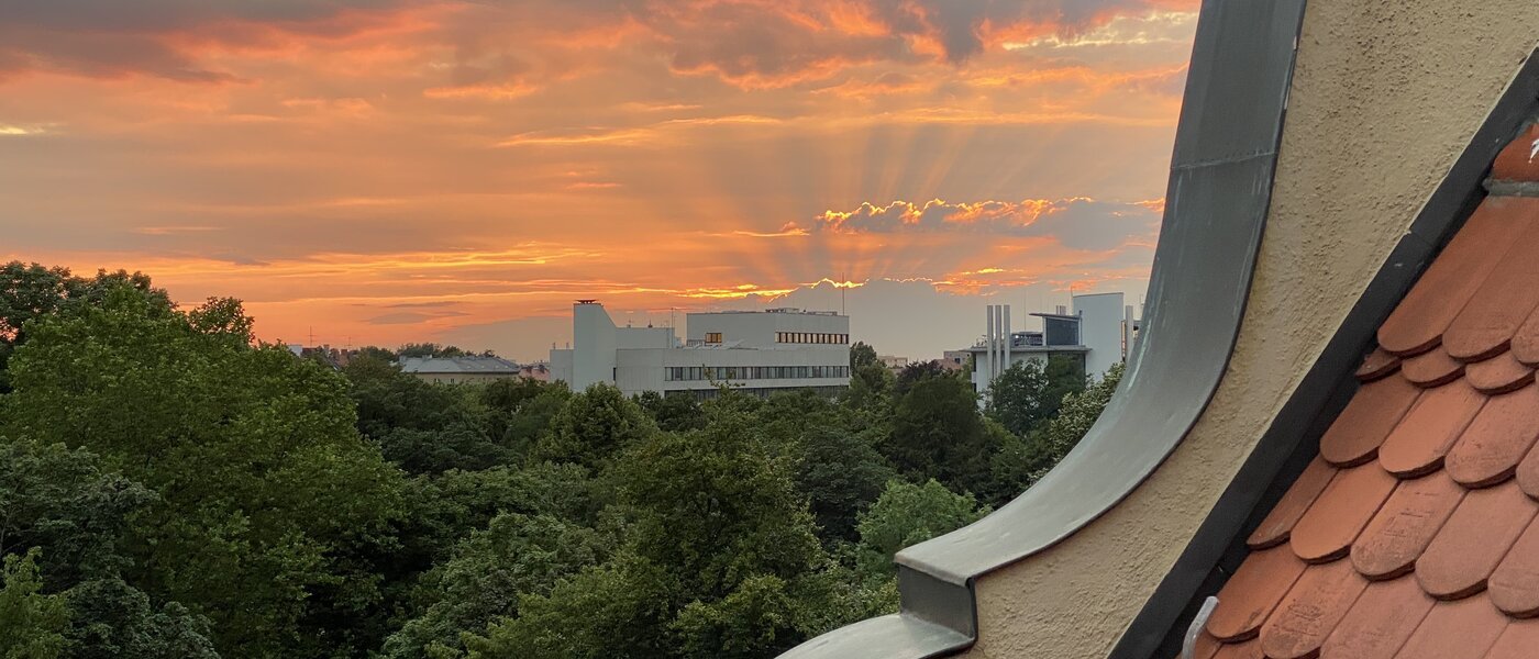 двухэтажная квартира-галерея München Maxvorstadt 05 вид из окна 13317