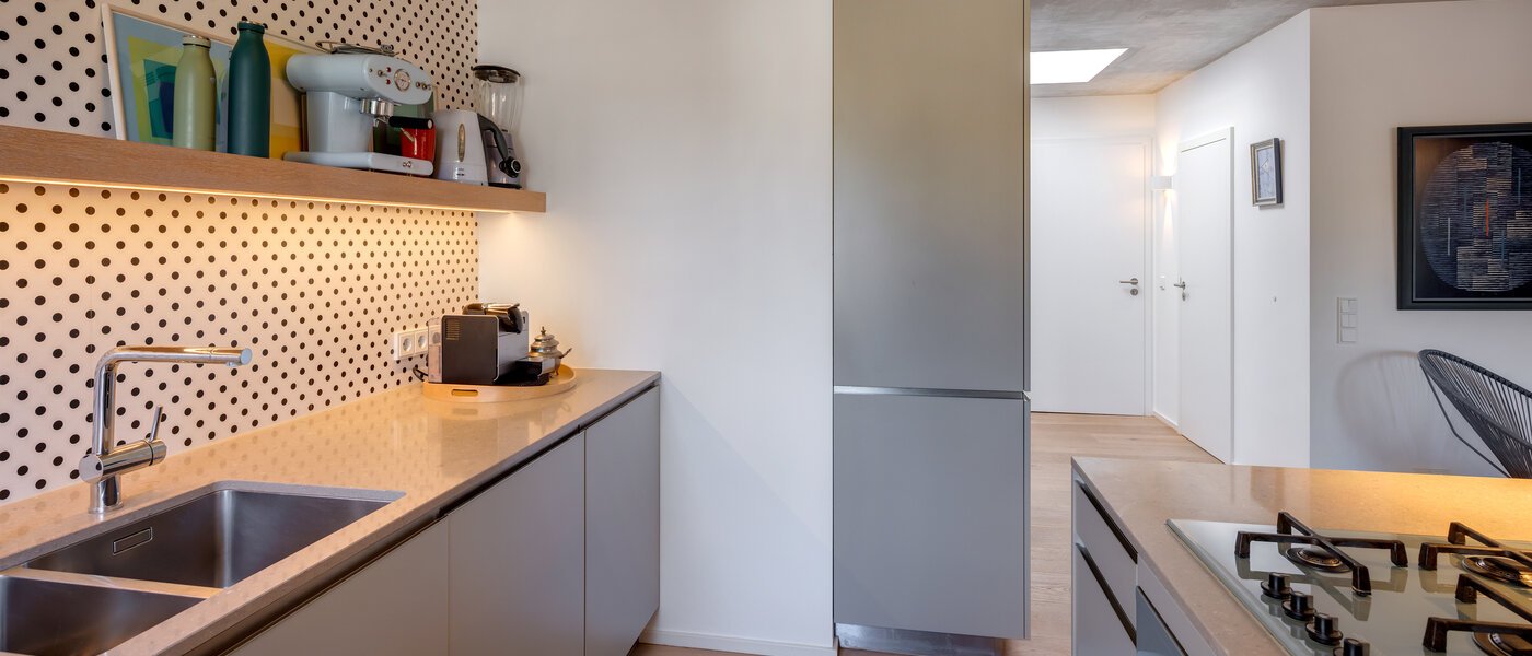 квартира-пентхаус München Solln 04 кухня 13410