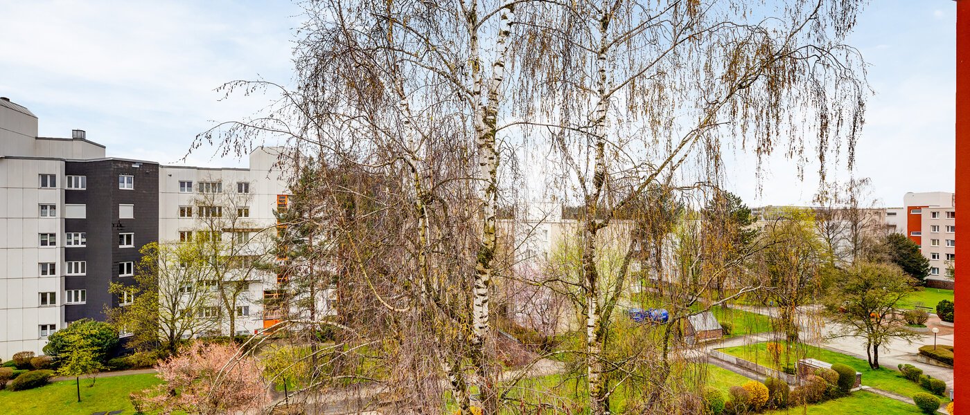 квартира Ottobrunn 01 вид из окна 13449