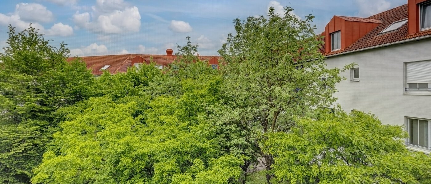 квартира Poing 02 вид из окна 13482