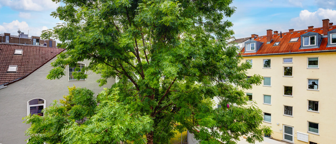 квартира München Milbertshofen 01 вид из окна 13553