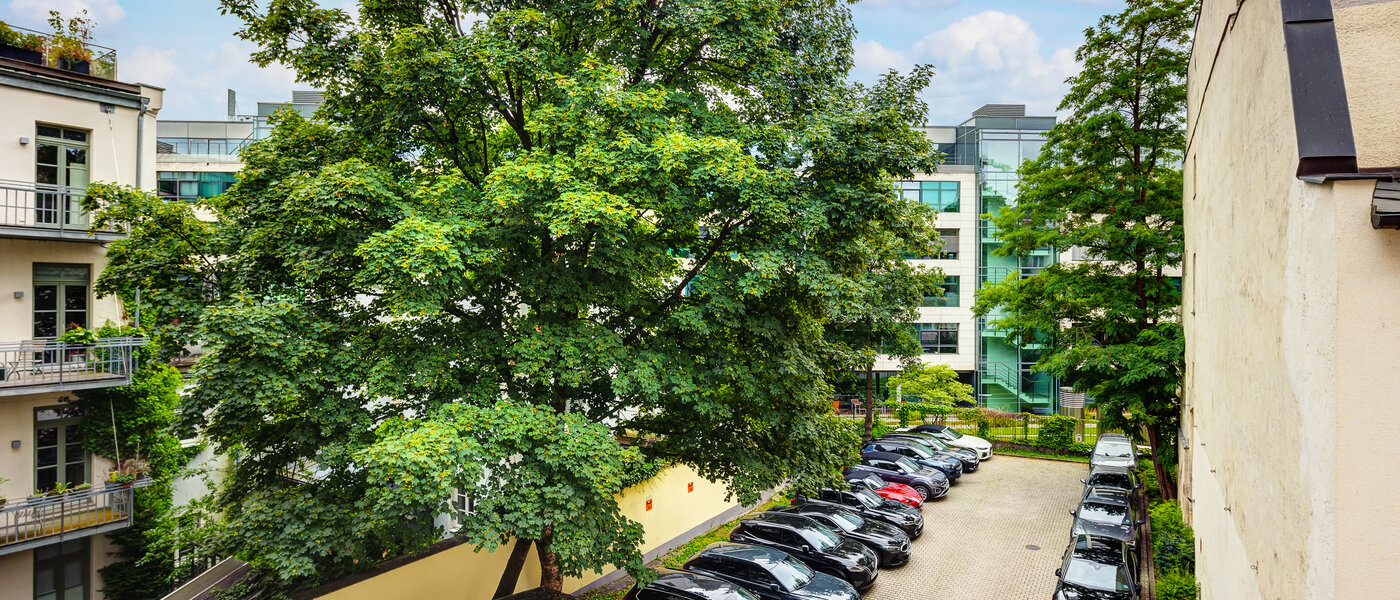 квартира München Lehel 03 вид из окна 13583