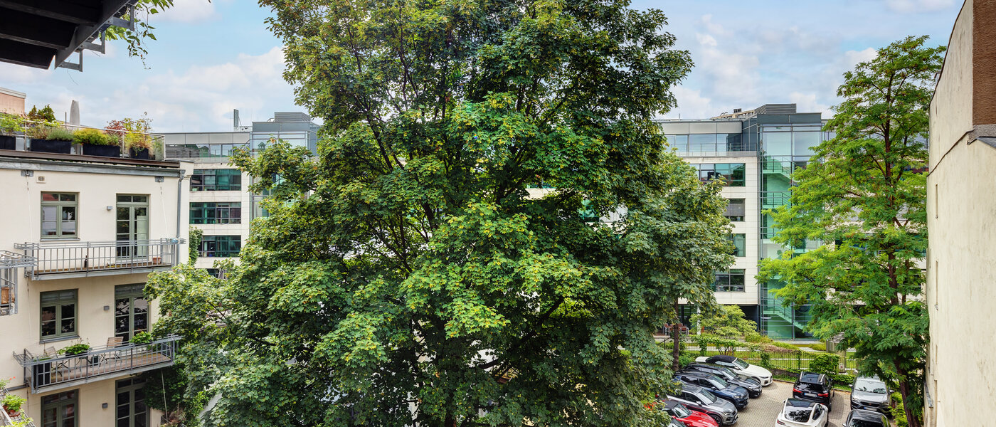 квартира München Lehel 04 вид из окна 13584