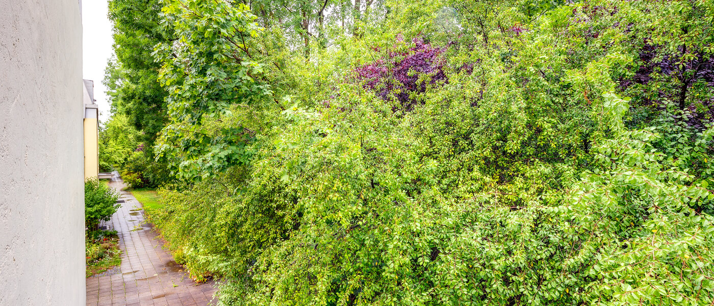 квартира München Pasing 03 вид из окна 13585