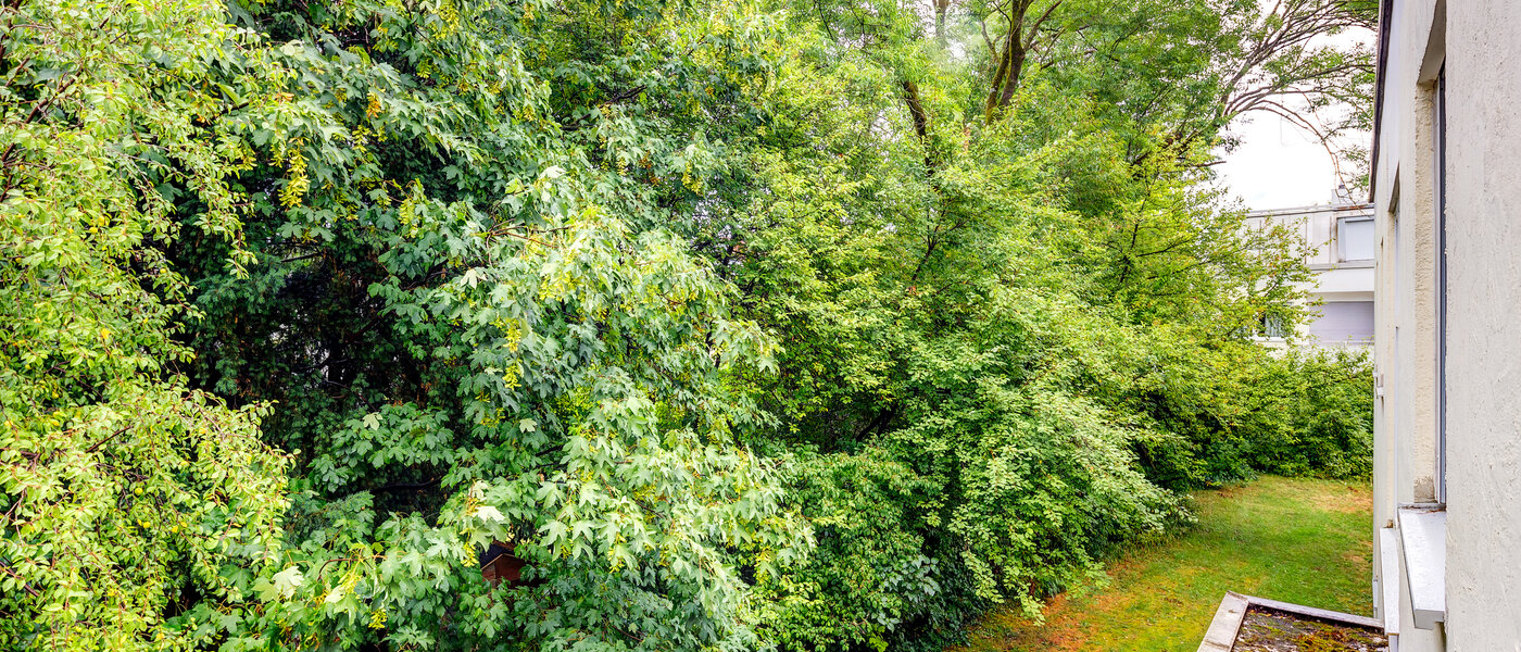 квартира München Pasing 04 вид из окна 13585