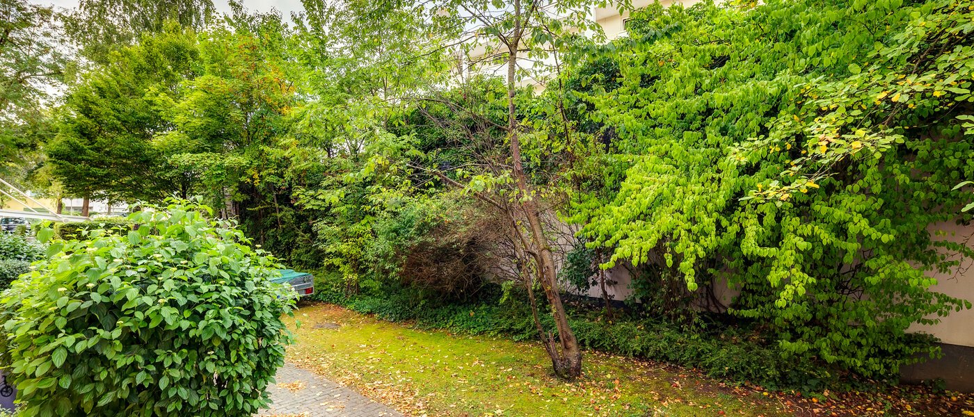 квартира München Fasanerie 03 вид из окна 13634