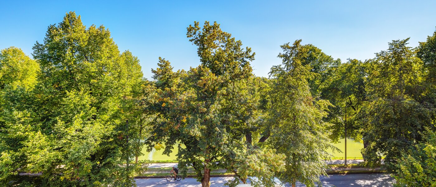 мансардная квартира München Nymphenburg 01 вид из окна 13654