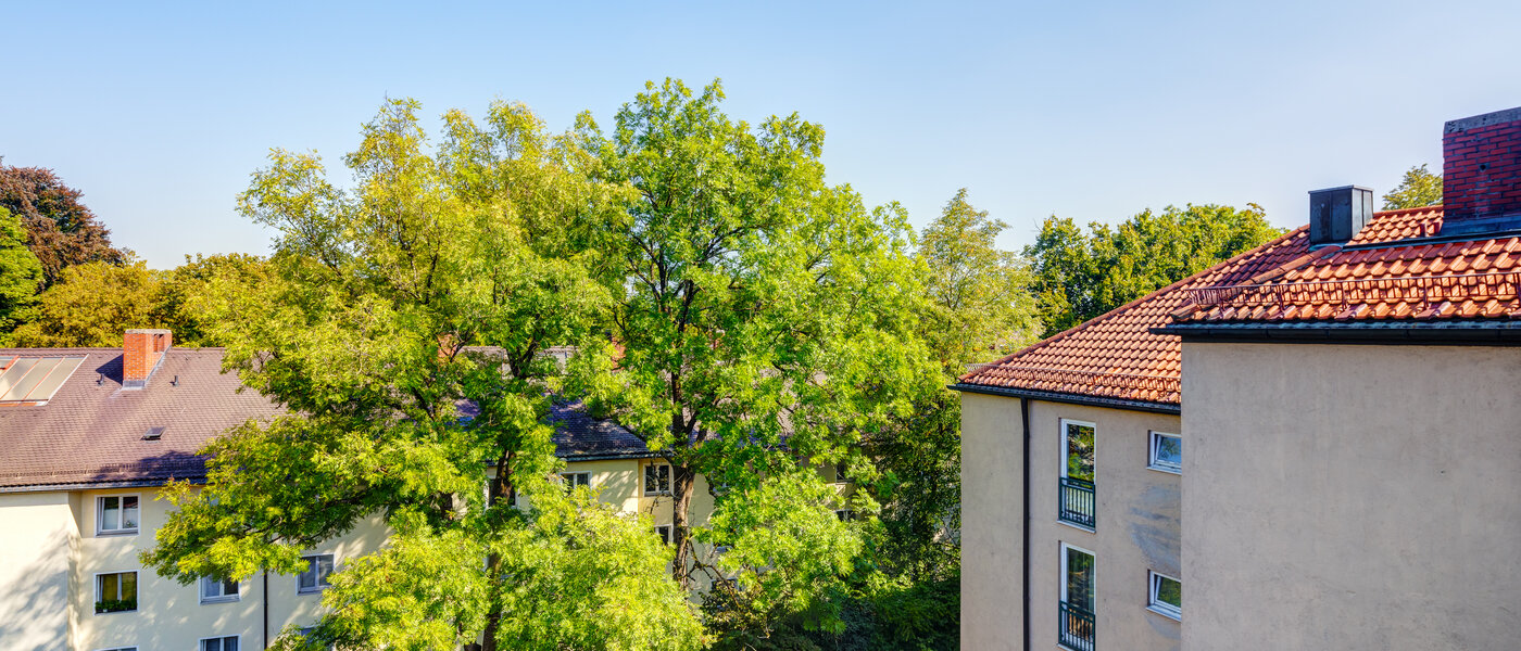 мансардная квартира München Ramersdorf 02 вид из окна 13657