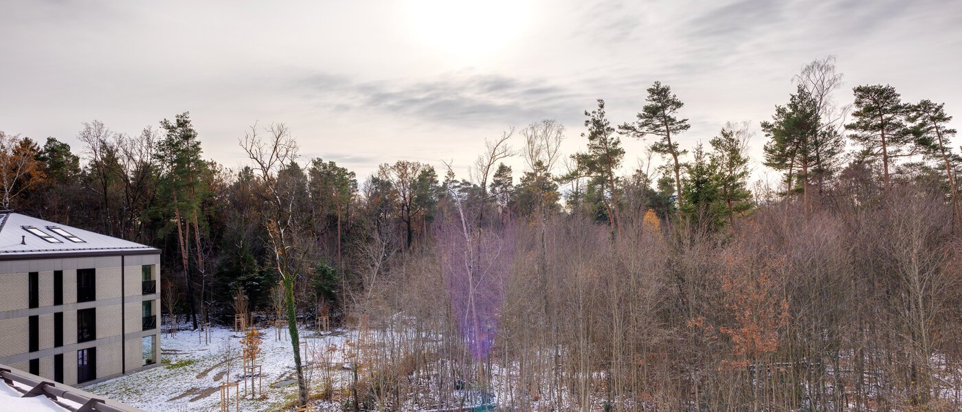 мансардная квартира Haar 01 вид из окна 13695