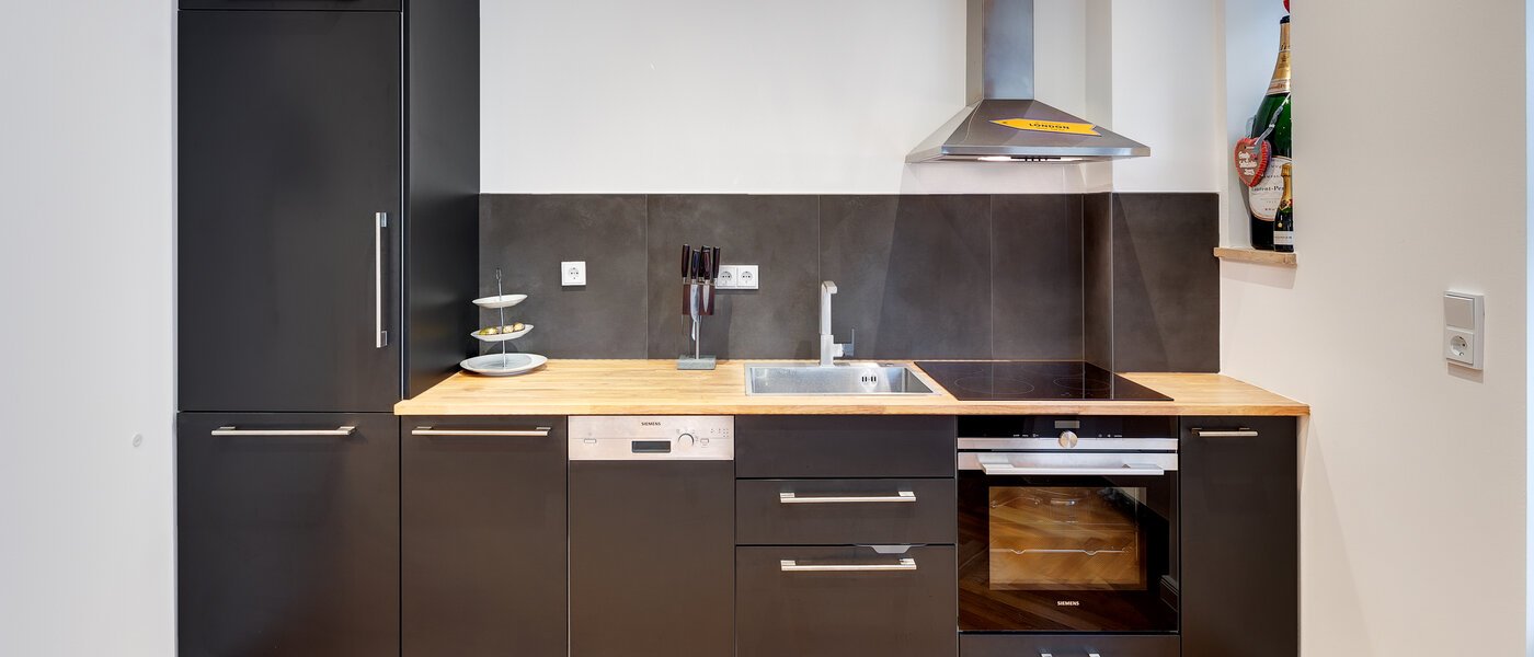 квартира München Schwanthalerhöhe 02 кухня 13745