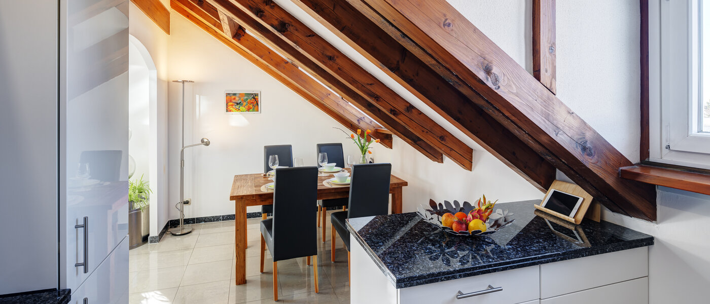 квартира-галерея Ottobrunn 03 кухня 13854