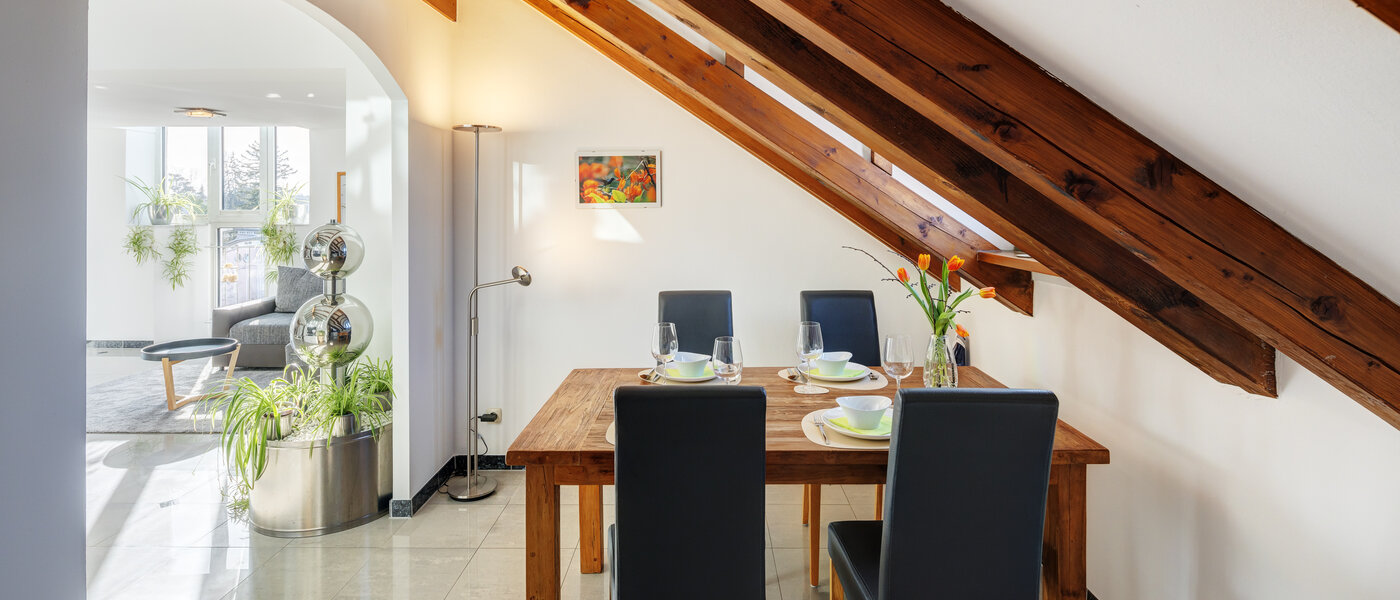 квартира-галерея Ottobrunn 05 кухня 13854