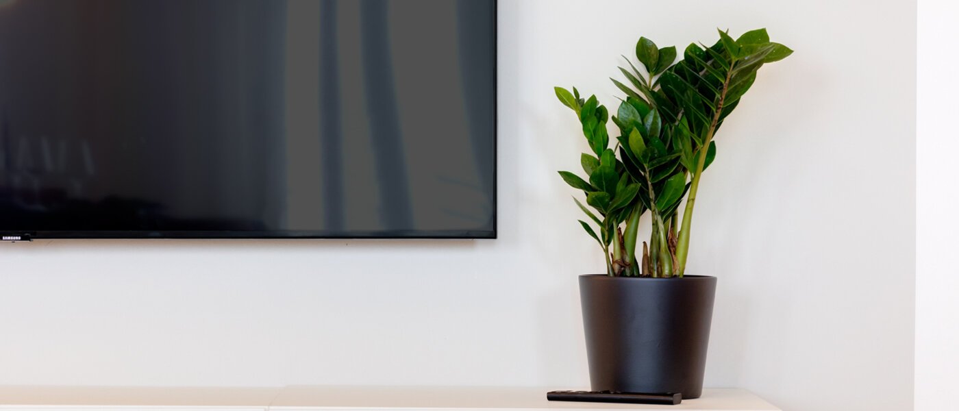 квартира München Haidhausen 04 жилое пространство 13881