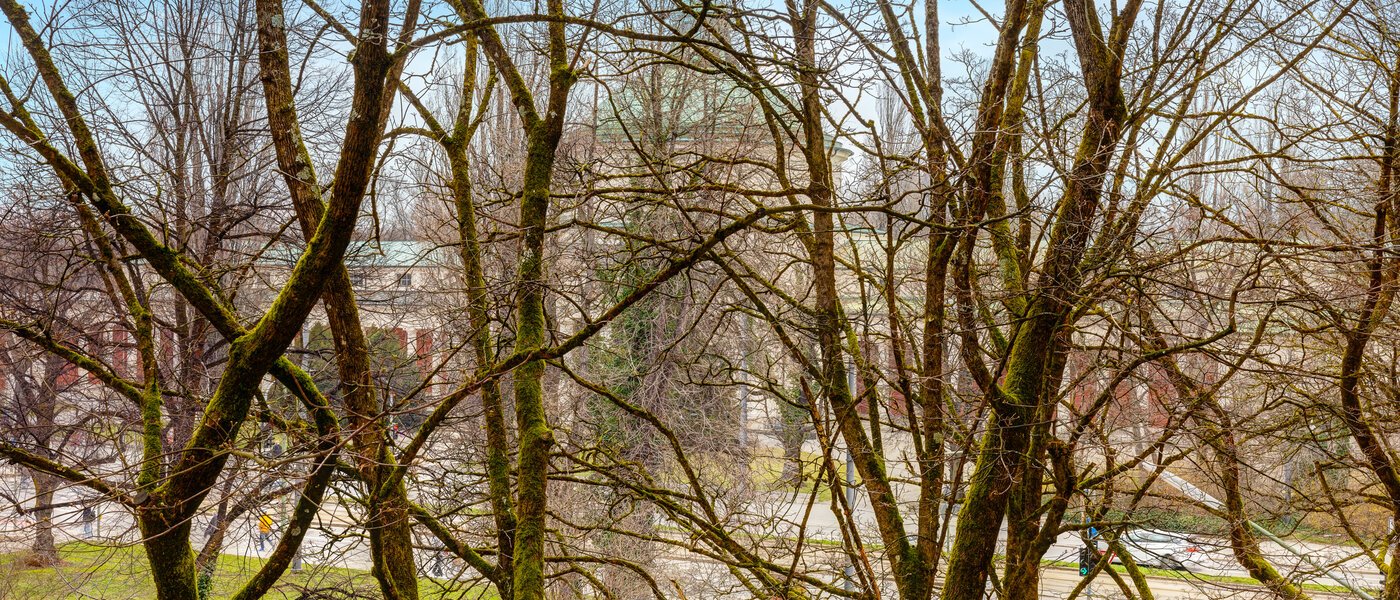 квартира München Obergiesing 03 вид из окна 13886